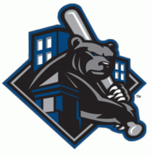 Newark Bears 2011-2014 Partial Logo iron on transfers for T-shirts